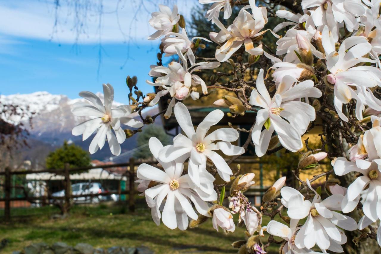 B&B Villa Camilla Pralungo エクステリア 写真