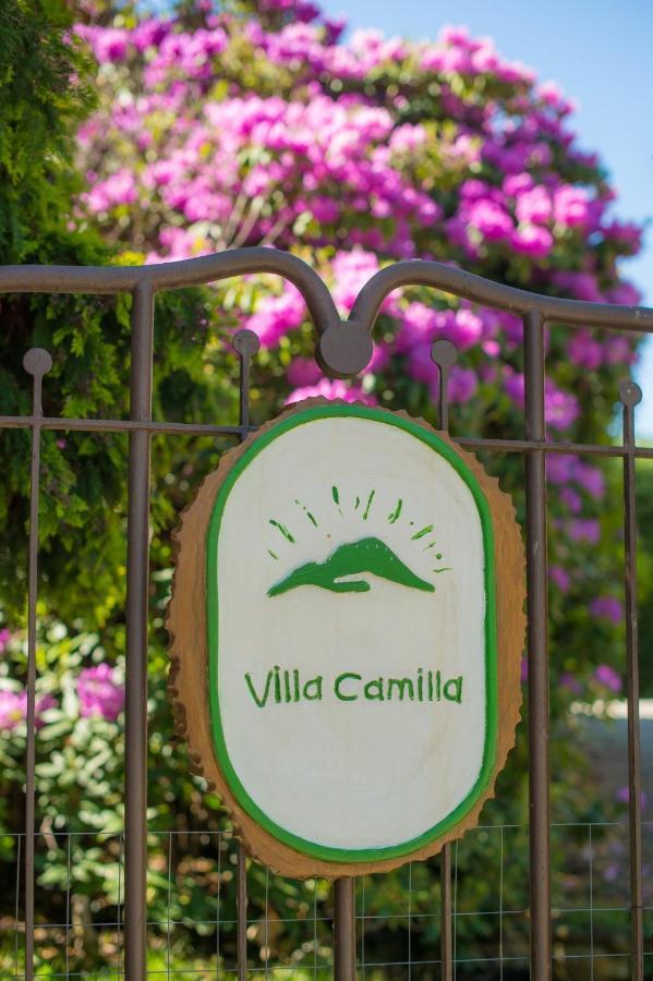 B&B Villa Camilla Pralungo エクステリア 写真