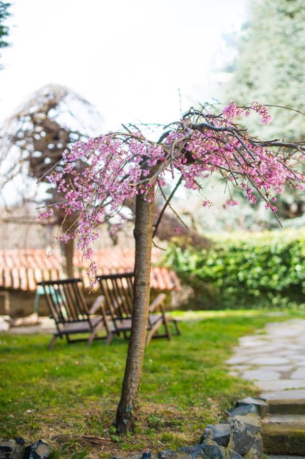 B&B Villa Camilla Pralungo エクステリア 写真